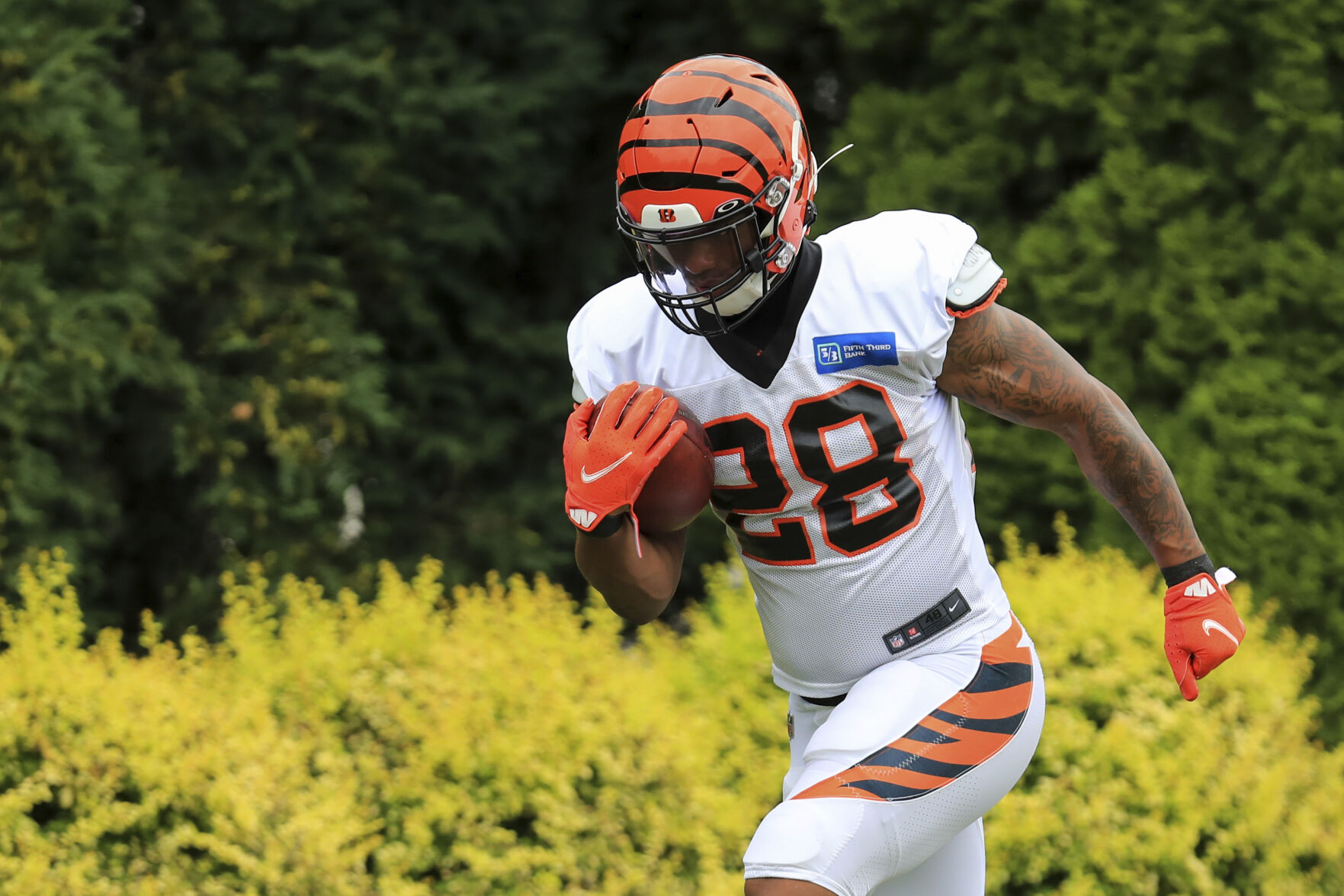 Cincinnati Bengals running back Joe Mixon